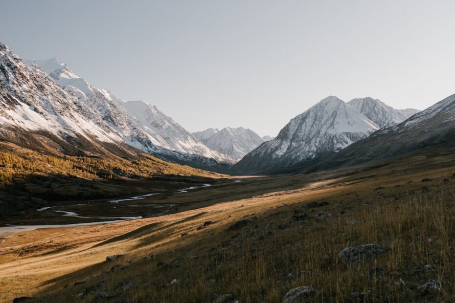 Creativity with Online Photoshop Free