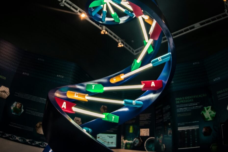 Difference Between DNA and RNA